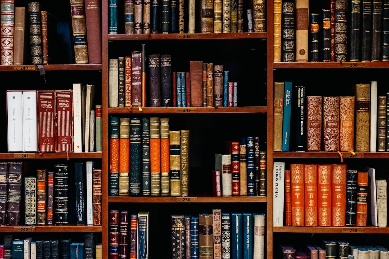 Como escolher sua próxima grande leitura