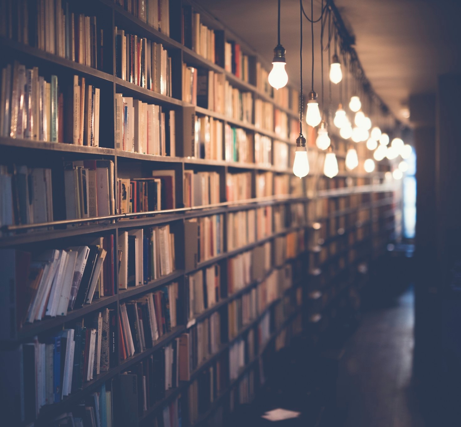 Autores emergentes para ficar de olho